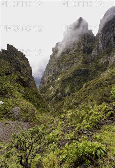 Steep cloudy mountain landscape with rock formations