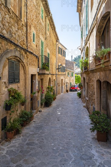 Houses decorated with flower pots