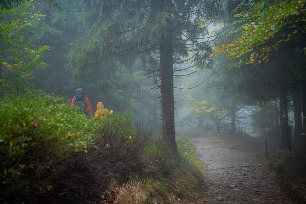 Mum and her little son go on a mountain trail in wet autumn weather. They are accompanied by a dog. Polish mountains