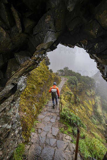 Hikers in the fog