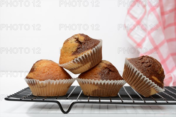 Chocolate muffins with white background