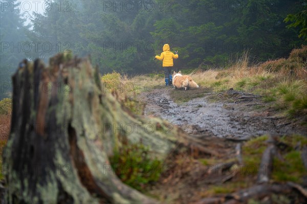 Mum and her little son go on a mountain trail in wet autumn weather. They are accompanied by a dog. Polish mountains