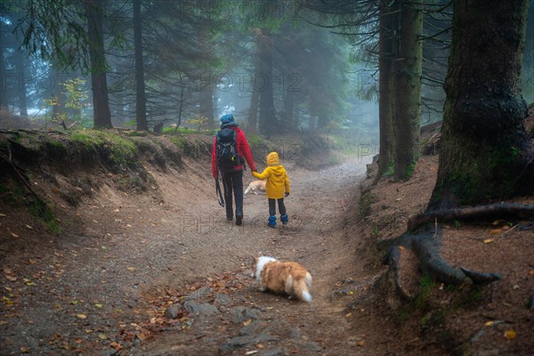 Mum and her little son go on a mountain trail in wet autumn weather. They are accompanied by a dog. Polish mountains