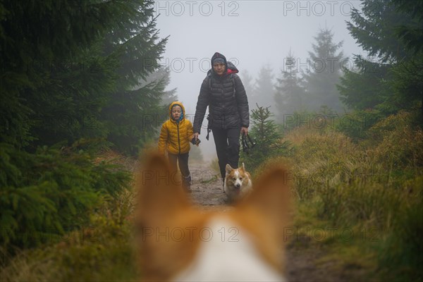 View of the mother with her son and dog walking on a wet mountain trail from the perspective of the dogs head. View from between the dogs ears. Polish mountains