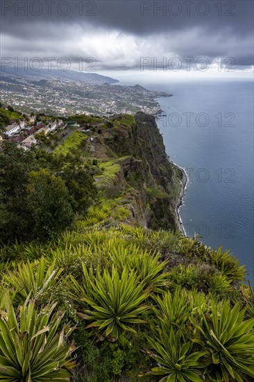 View of the cliffs from the viewing platform