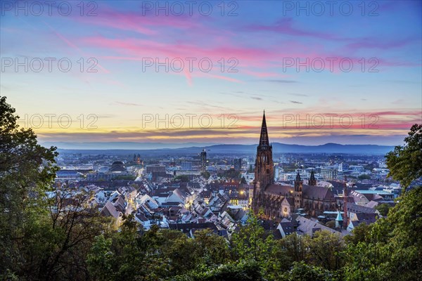 City view with cathedral