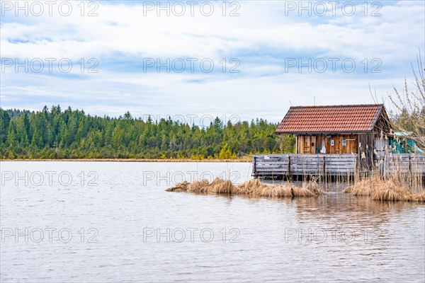 Boathouse with reeds on the lake