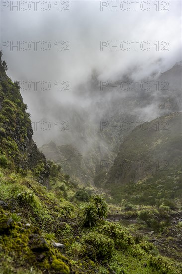 Steep cloudy mountain landscape with rock formations