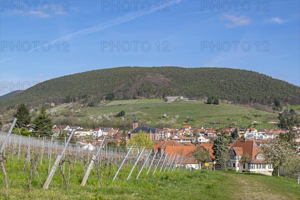 Village view St. Martin