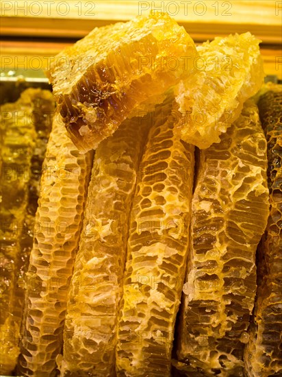 Sweet fresh honey in the sealed comb frame