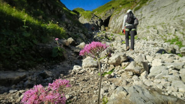 Tourist with equipment on a mountain trail in the Alps. Zugspitze massif