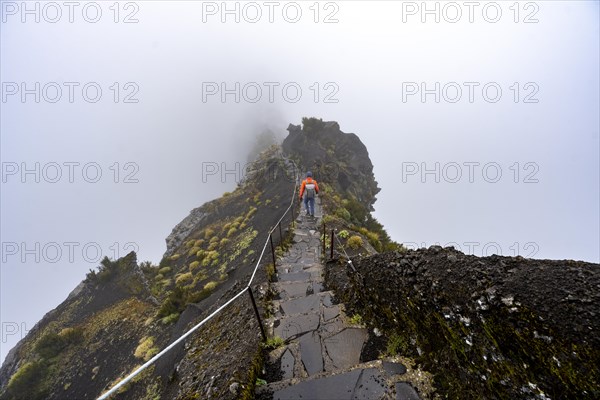 Hikers in the mist