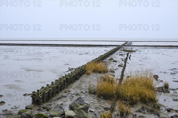 Wooden groynes in the Wadden Sea National Park near Keitum
