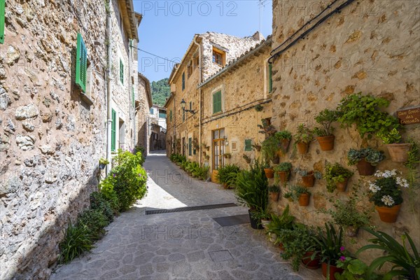 Houses decorated with flower pots