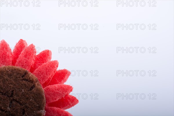 Quarter of a fake flower in view on a white background