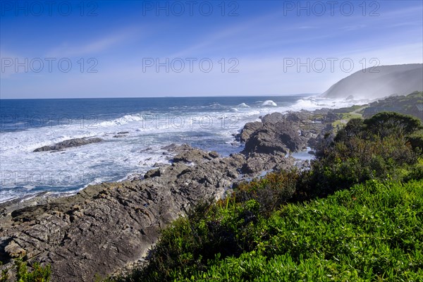 Wild coast with salt spray