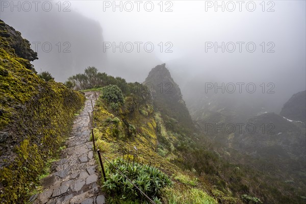 Hiking trail