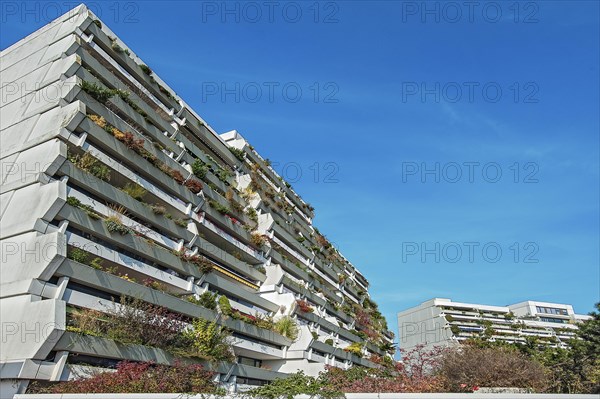 High-rise buildings with green balconies in the former Olympic Village