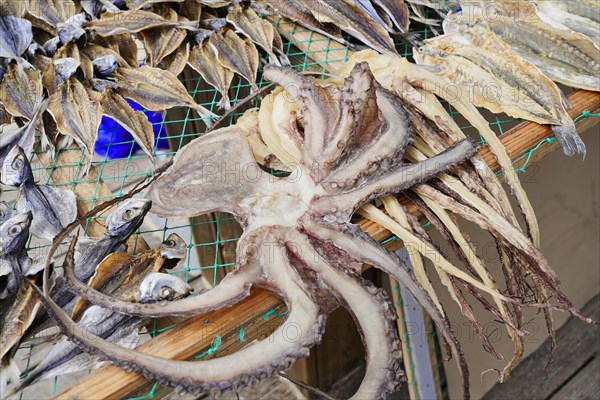 Fish drying