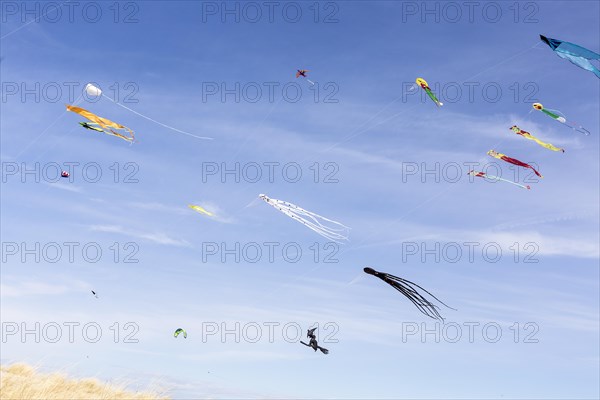 Wind kites on the beach