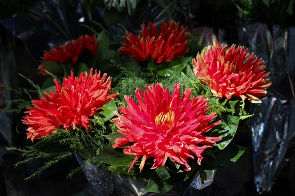 Beautiful bouquet of flowers on street flower vendor