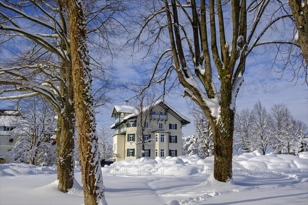 Town hall in the snow