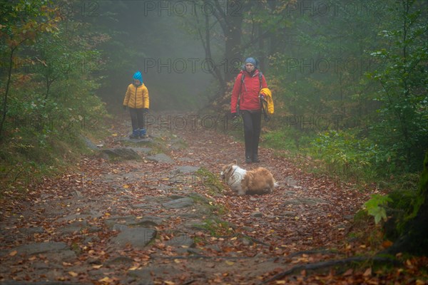 Mum and her little son go on a mountain trail in wet autumn weather. They are accompanied by a dog. Polish mountains