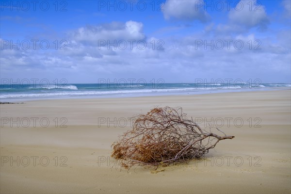 On the beach