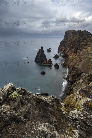 Coastal landscape