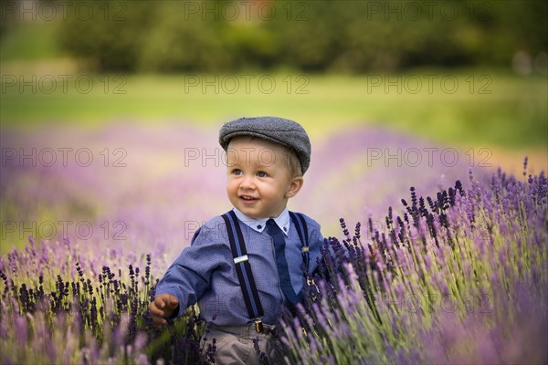 Beautiful little boy on a sunny day in a lavender field. Poland