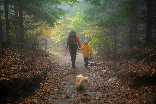 Mum and her little son go on a mountain trail in wet autumn weather. They are accompanied by a dog. Polish mountains