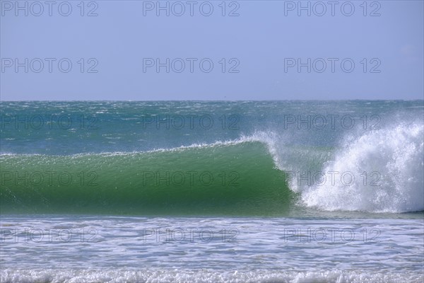 Waves on the beach