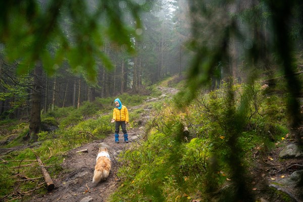 Mum and her little son go on a mountain trail in wet autumn weather. They are accompanied by a dog. Polish mountains