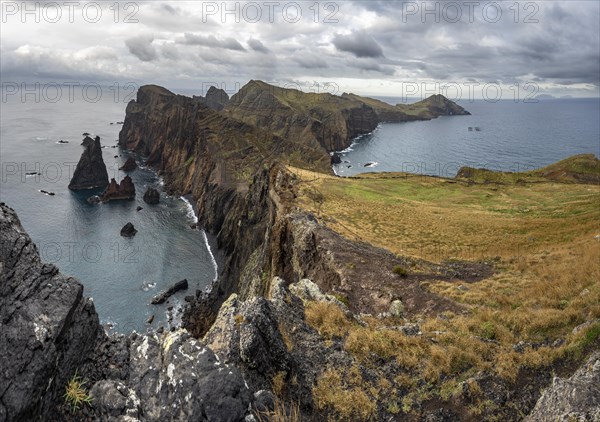 Coastal landscape