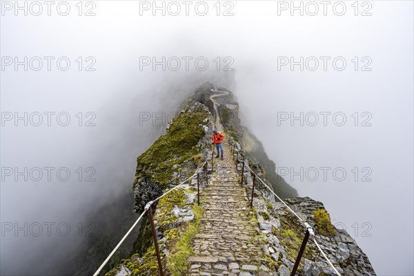 Hikers in the mist