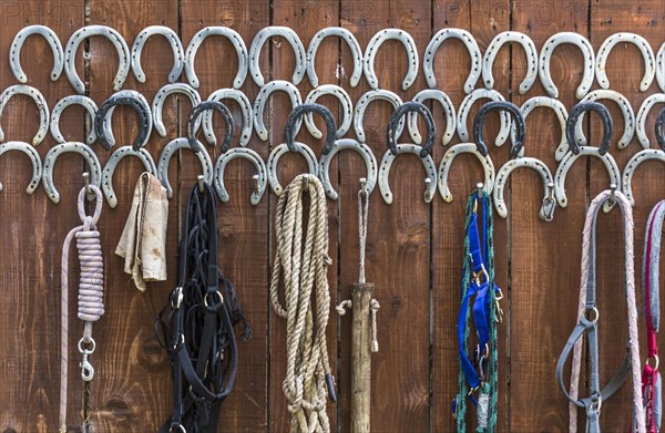 Horseshoes and riding accessories