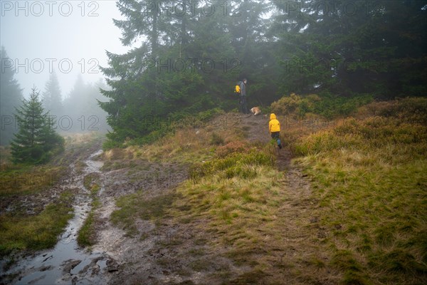 Mom with her son and dogs walk over logs lying on a small stream. Polish mountains