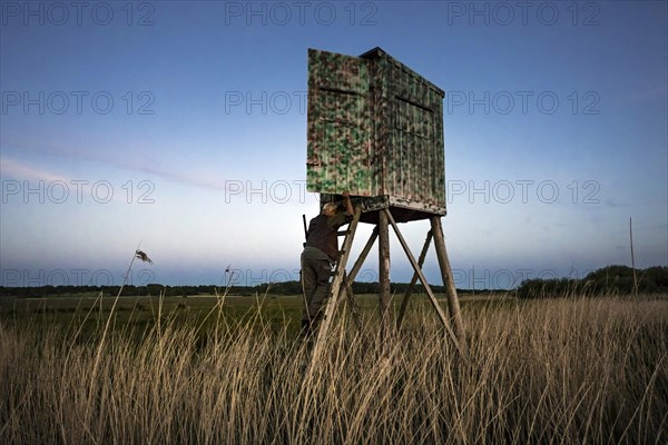 Hunter at a raised hide