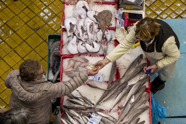 Birds eye view colour photo of a stall full of different fish