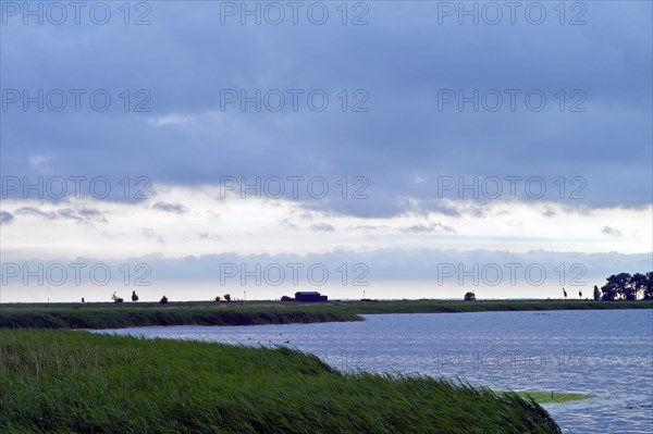 View across the Bodden to Kleinzicker