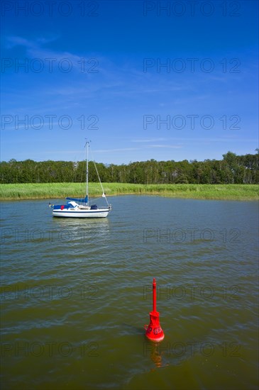 Saaler Bodden