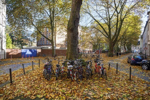 Bicycle parking in autumn leaves