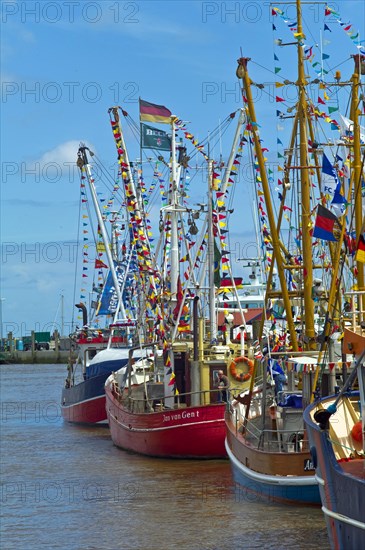 Decorated crab cutter in the harbour of Neuharlingersiel