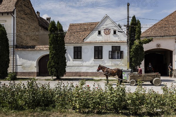 A horse-drawn carriage stands in the village of the Transylvanian Saxons in Roades