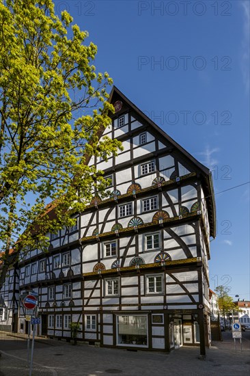 Haus zur Rose or Freiligrath House