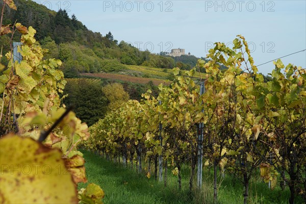 Hambach Castle