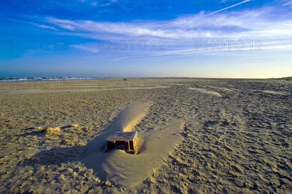 Sand drifts on the eastern beach of the island of Spiekeroog