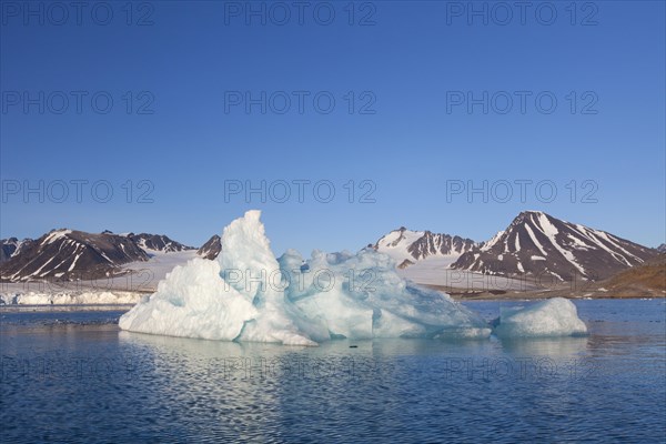 Ice floe calved from the Lilliehoeoekbreen glacier drifting in the Lilliehoeoekfjorden