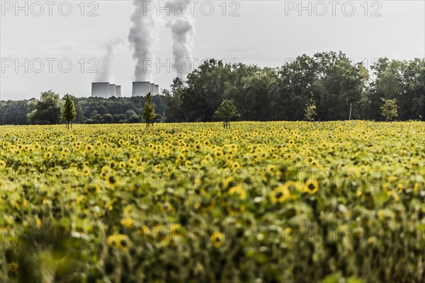 The Jaenschwalde coal-fired power plant