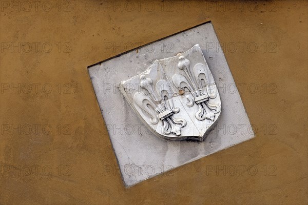 Coat of arms on a house wall of the Jakob Fugger settlement